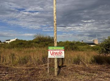 Terreno · 5000m² · Terreno Zona Camino Viejo San José