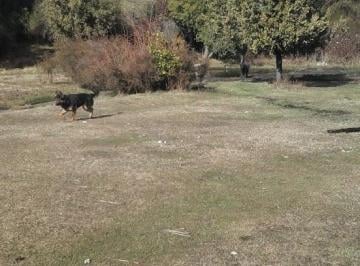 Campo · 114500m² · Chacra en Mallin Ahogado