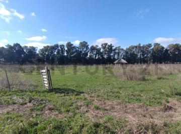 Terreno · Fracciones en Venta en Arana