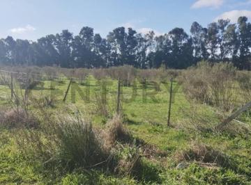 Terreno · Fracciones en Venta en Arana