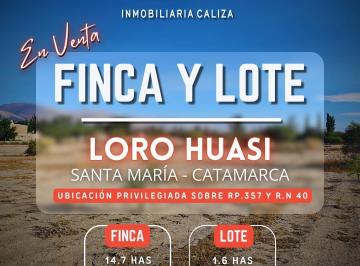 Campo · 163000ha · Finca Terreno Loro Huasi - Santa Maria - Catamarca