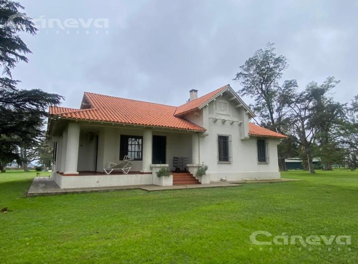 Campo · 400000ha