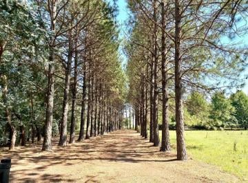 Campo · 1100m² · 4 Ambientes · 5 Cocheras · Campo de 52 Ha en Buen Estado