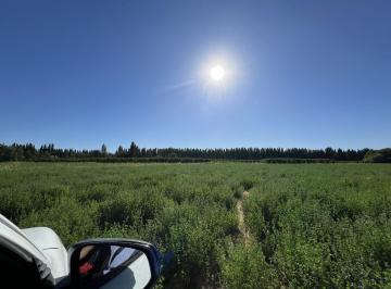 Terreno · 50000m² · Chacra de 5ha en Centenario