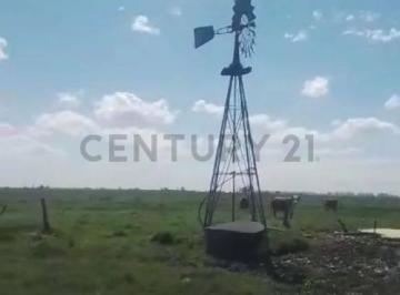 Campo · 320000m² · Venta - Campo - Barrancas