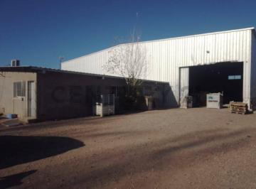 Oficina comercial · 1150m² · Century21lopez Alquila Galpón de 950 m en un Predio de 5000 m Zona Industrial a 300 m Carril Rodr