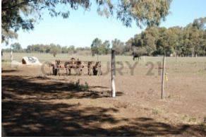 Campo · 8m²