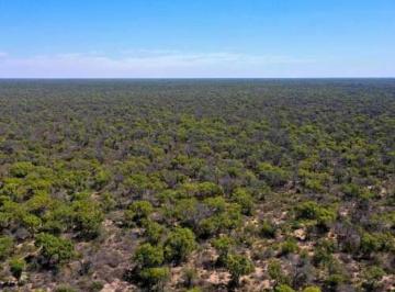 Campo · 2007m² · 1 Ambiente · Campo en Venta Punta Corral - Santiago del Estero