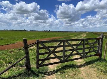 Campo de 1 ambiente, Lobería · Venta Campo 100% Agrícola
