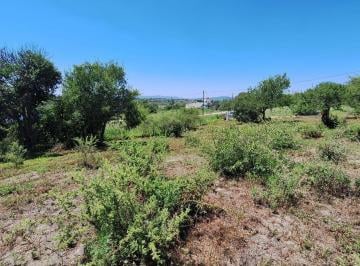 Terreno · 1000m² · Lote de 1000 m² con Escritura a La Venta en Tanti
