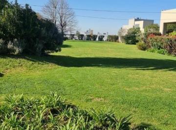 Departamento · 200m² · 4 Ambientes · Duplex Complejo Algodonera 200 m² Permuta Financia(+ Cuotas)