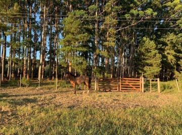 Quinta vacacional · 75915m² · 1 Ambiente · Venta Chacra 7,6 Há en Abra de Perdomo Maldonado