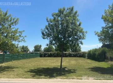 Terreno · 574m² · Terreno en Araucarias