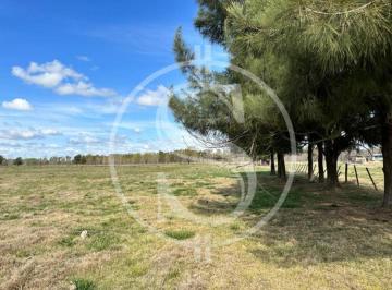 Campo · 10000m² · 1 Ambiente · Chacra de 1 Hectarea Cercano Pueblo Mercedes Financiado