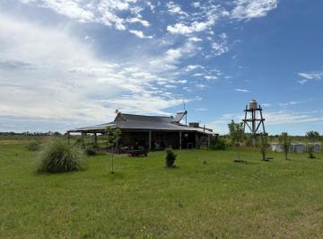 Campo · 285000m² · Campo en Venta en Camino Las Columnas - Ruta 47 - Lujan - Navarro