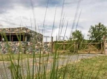 Terreno · 10665m² · Venta de Lote en Los Coirones, Tupungato