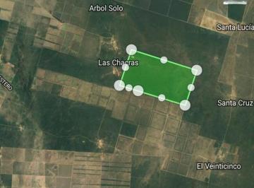 Campo , Santa Lucía · Se Vende Importante Campo en La Provincia de Catamarca