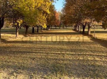 Terreno · 110000m² · Century21 Lopez Vende!
