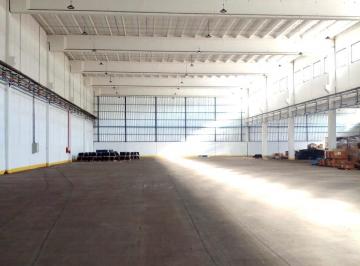 Bodega-Galpón , Luján · Alquiler Nave 6000 m² en Jauregui, Villa Flandria, Lujan