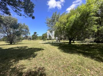 Foto1 · Vende Terreno Ideal Para Desarrollo de Barrio Privado. Punta del Este