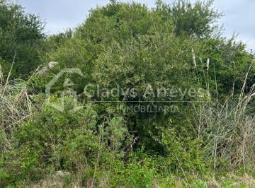 Terreno , Punta Indio · Lote de 18.50x50 m en Calle Coliqueo E/ Roca y Sarmiento de Punta Indio.