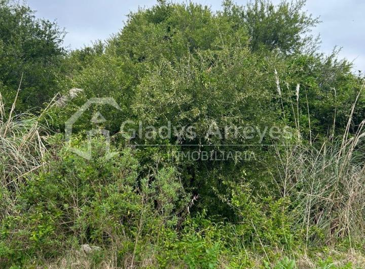 Terreno · 925m²