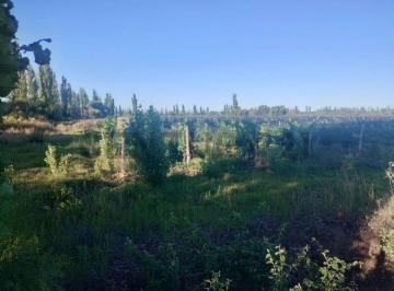 Campo · 60000m² · Venta de Finca en San Rafael