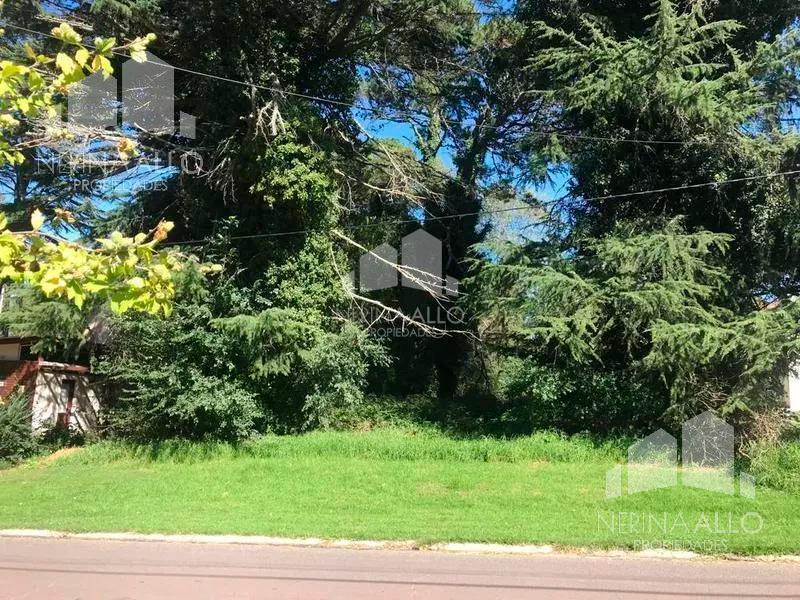 Venta lote de 800 mts2 en sierra de los padres! acepta permuta