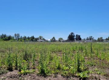 Terreno · 356m² · Lotes en 21 E 652 y 653, Don Carmelo, Sicardi.