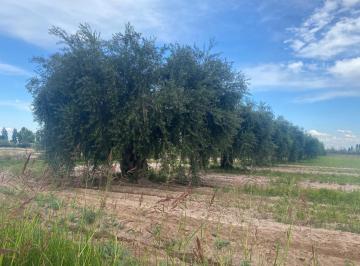 Terreno · 3000m² · Finca en Venta en Maipu Ruta 60