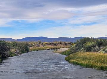 Campo · 500m² · 3 Ambientes · Excelente Campo Productivo en Precordillera de Chubut