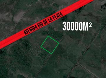 Terreno · 30000m² · Terreno en Venta - 30000 m² - Berisso