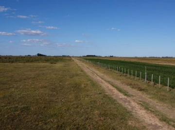 Campo · 188m² · Venta Campo 178 Has Mixto