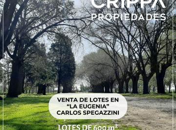 CIP-CIP-44_2 · Loteo en Venta en Spegazzini, Ezeiza con Finaciacion