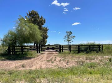 Campo · 100m² · 1 Ambiente · Campo 100 Hectáreas con Acceso Al Agua en Venta Escobar