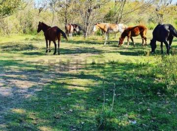 Campo · 100m² · 2 Ambientes · Campo Ganadero Cercano Al Rio Carcaraña con Casa en Contrucc