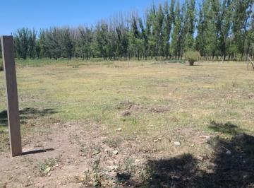 Terreno · 564m² · Greenwood Inmobiliaria Vende Lote en El Carrizal de Abajo