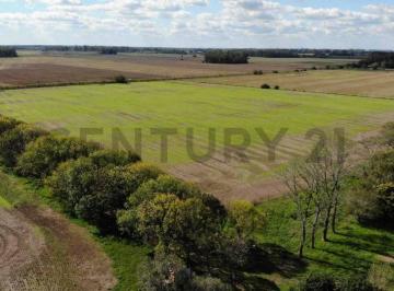 Campo · 83m² · Venta de Campo, Lima, Zarate Campo en Venta C/pequeña Casa en L.