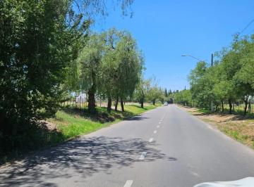 Campo · 30000m² · Finca en de 3 Has en Venta en Calle Maza, Maipú