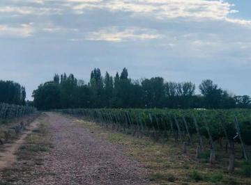 Quinta vacacional · 100m² · Greenwood Inversiones Inmobiliarias Vende Finca Ugarteche