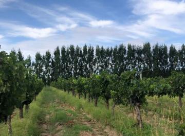 Quinta vacacional · 150m² · Greenwood Inversiones Inmobiliarias Vende Finca Ugarteche