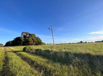 Terreno · 559m² · Lote en El Marquesado