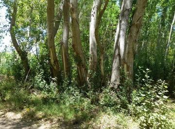 Terreno , Aguas Verdes · Oportunidad Lote Aguas Verdes