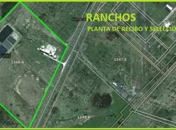 Campo · 816m² · Campo en Venta en Ranchos, Prov. de Buenos Aires