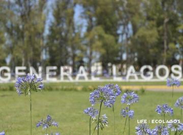 Terreno · 300m² · Venta de Lotes en Ecolagos Este | General Lagos
