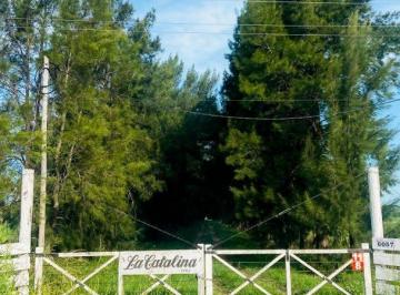 Campo · 80m² · 3 Ambientes · Venta de Campo de 72 Ha, Brandsen.