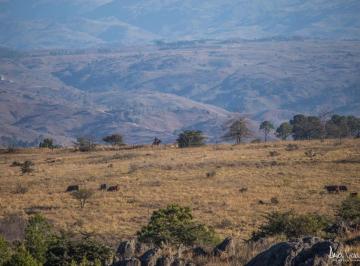 Campo · 120m² · 4 Ambientes · 1 Cochera · Chacra en Atos Pampa, 6.5 Ha, con Chalet de Tres Dorm, Tanque Australiano de 50.000 Lts