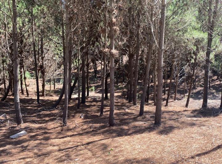 Terreno · 930m²