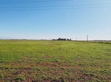 Campo · 127167m² · Venta Campo en Pinero