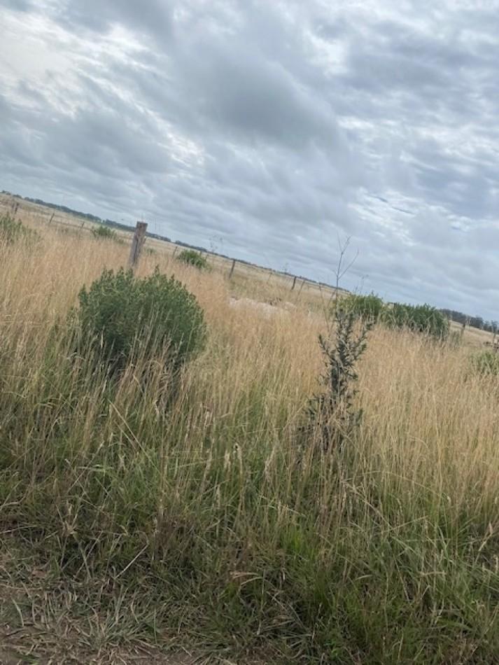Lote en chapadmalal, presentamos este lote de 630 mts. Ideal emprendimiento.